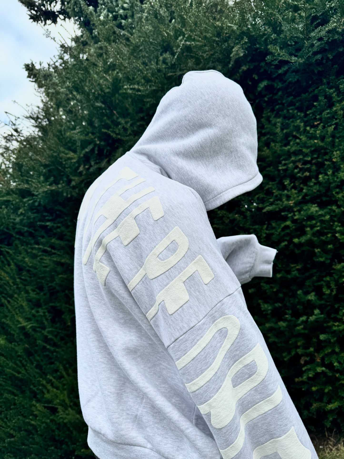 FLIGGSY FOR THE PEOPLE HOODIE GREY